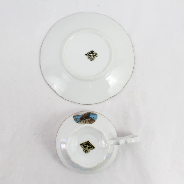 EFCCO Sea Lion Caves Oregon Souvenir Teacup and Saucer