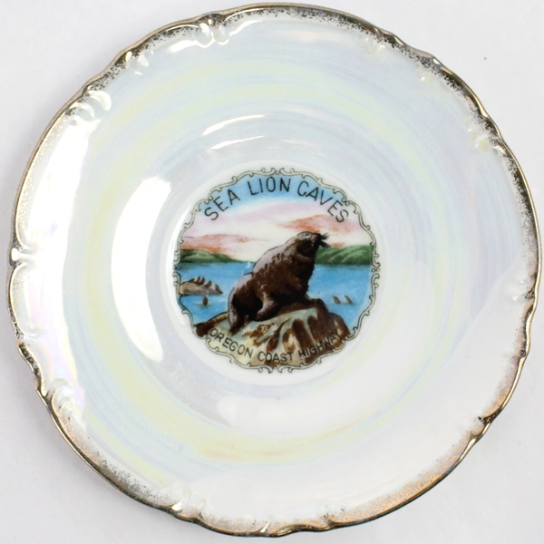 EFCCO Sea Lion Caves Oregon Souvenir Teacup and Saucer