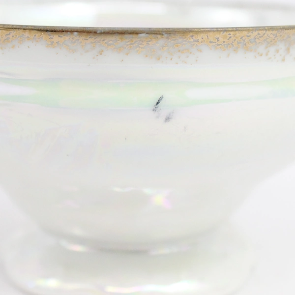 EFCCO Sea Lion Caves Oregon Souvenir Teacup and Saucer