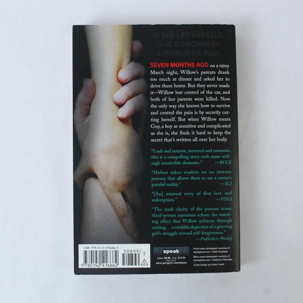 Willow by Julia Hoban 2009 Young Adult Paperback Novel - Good Condition