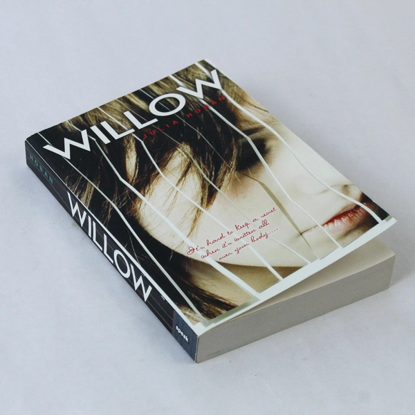 Willow by Julia Hoban 2009 Young Adult Paperback Novel - Good Condition