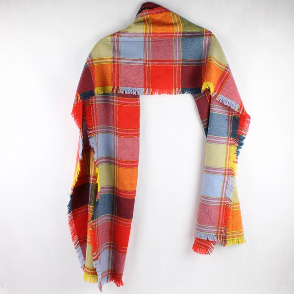 Unbranded Multicolor Plaid Rectangular Scarf with Fringe