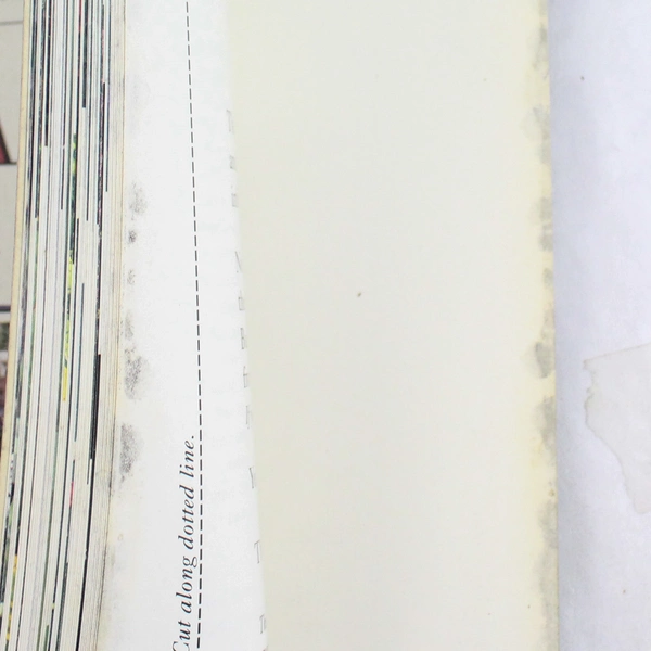 Burpee American Gardening Series Cutting Gardens by Chet Davis 1994 Paperback