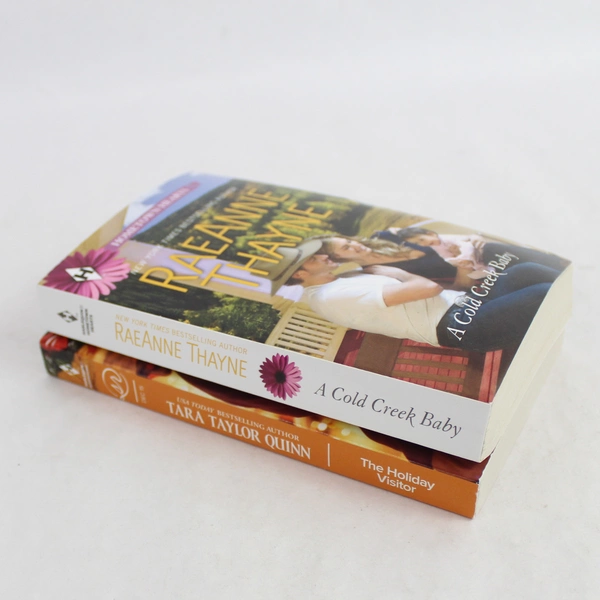 Lot Of 2 Harlequin Novels 2010 A Cold Creek Baby 2015 The Holiday Visitor PB