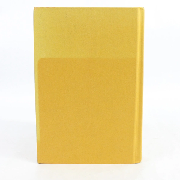 Lillian Boxfish Takes a Walk A Novel Hardcover by Kathleen Rooney