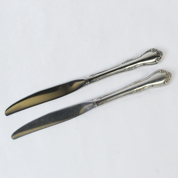 Oneida Lot of 2 Mansfield Amadeus Stainless Dinner Knives WM A Rogers