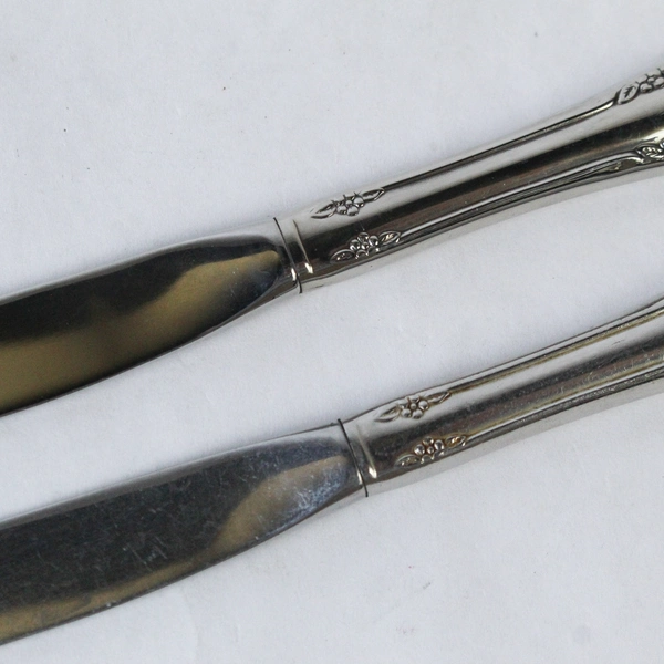 Oneida Lot of 2 Mansfield Amadeus Stainless Dinner Knives WM A Rogers