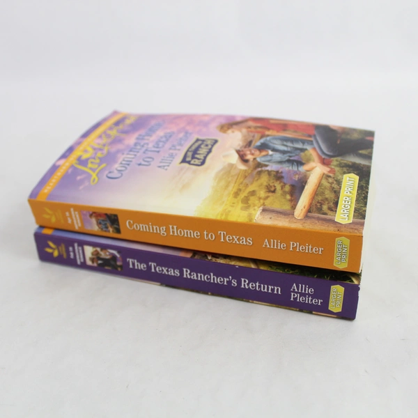 Lot of 2 Harlequin Love Inspired Blue Thorn Ranch Books by Allie Pleiter PB