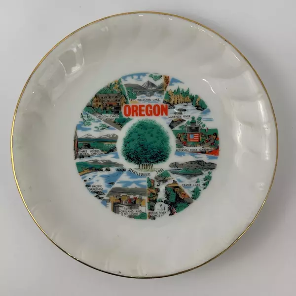 Vintage Smith Western Oregon Souvenir Cup And Saucer Set White Gold Trim