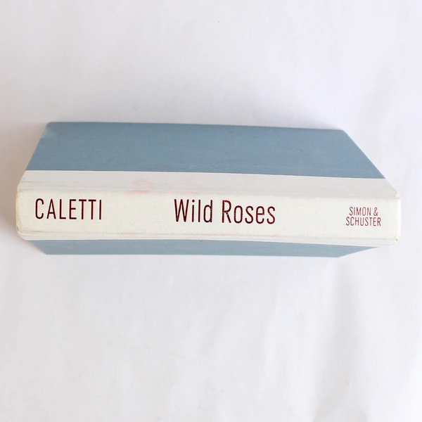 Wild Roses by Deb Caletti 2005 Hardcover