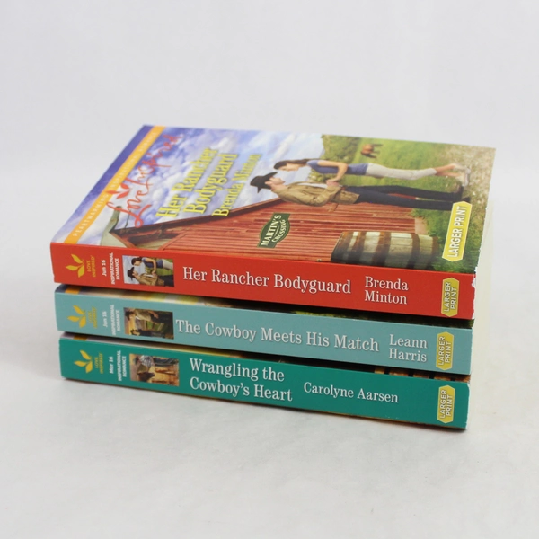 Lot of 3 Love Inspired Cowboy Theme Novels Larger Print Paperback 2016