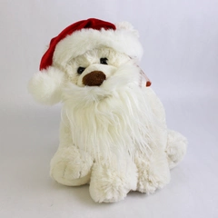 2009 Build-A-Bear Under The North Star Polar Bear 14" with 2 Accessories