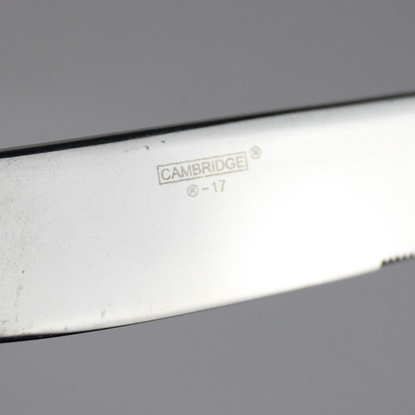 Set of 6 Cambridge Stainless Steel Solid Handle Dinner Knives