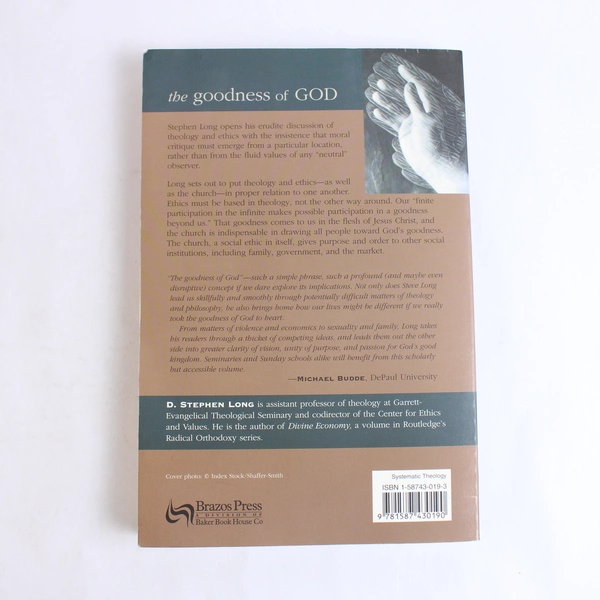 Goodness of God D. Stephen Long 2001 Paperback