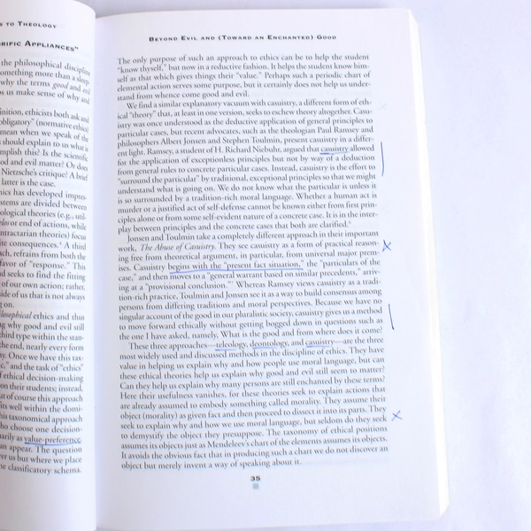 Goodness of God D. Stephen Long 2001 Paperback