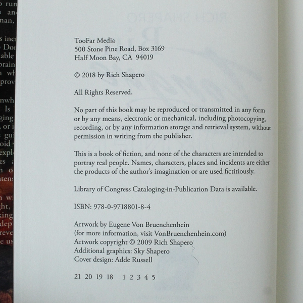 Rin, Tongue and Dorner by Rich Shapero 2018 Hardcover - Good Condition