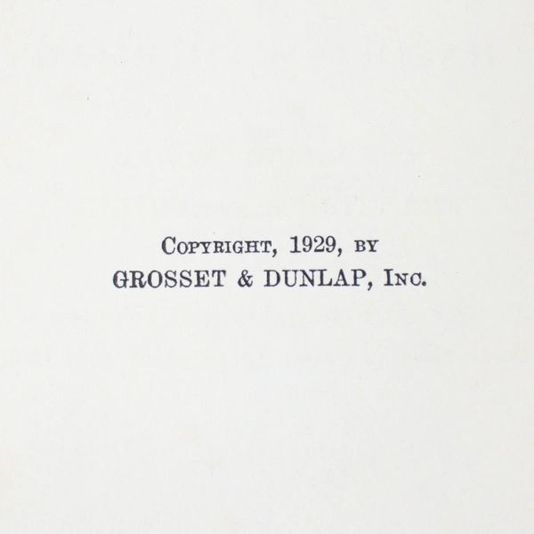 Flashing Steel by Harold M Sherman 1929 Vintage Hardcover Book