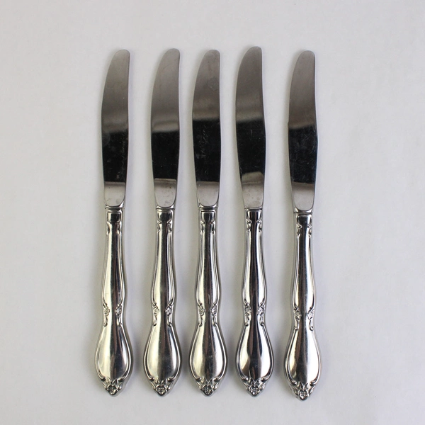 Lot Of 5 Oneida Silver Chatelaine Stainless Steel Modern Hollow Knife