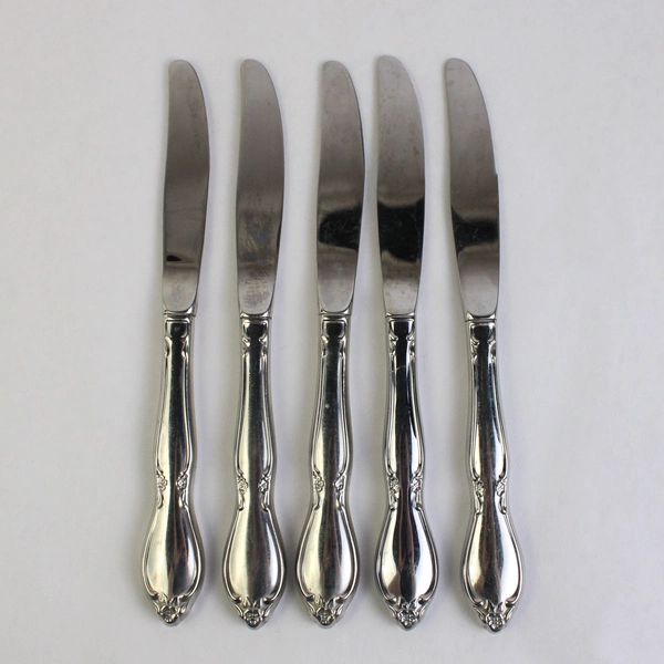 Lot Of 5 Oneida Silver Chatelaine Stainless Steel Modern Hollow Knife