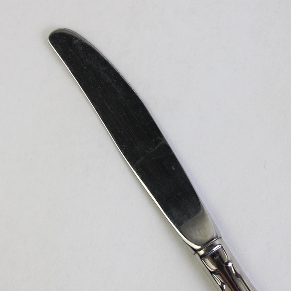 Lot Of 5 Oneida Silver Chatelaine Stainless Steel Modern Hollow Knife