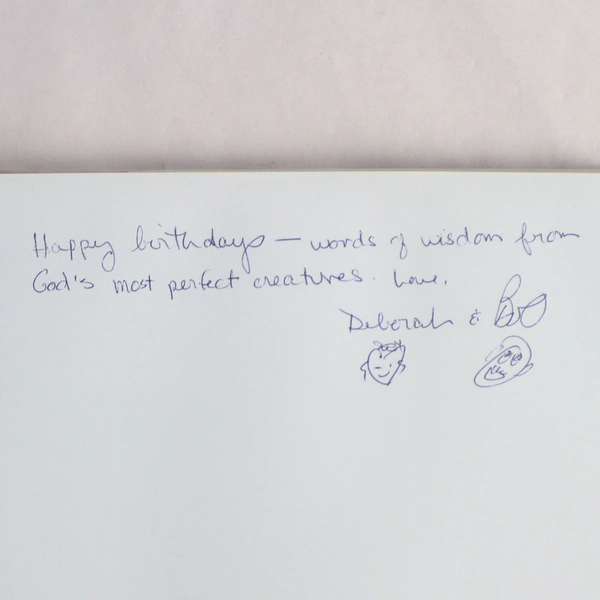 101 Cataclysms For The Love Of Cats by Rachael Hale 2005 Hardcover Dust Jacket