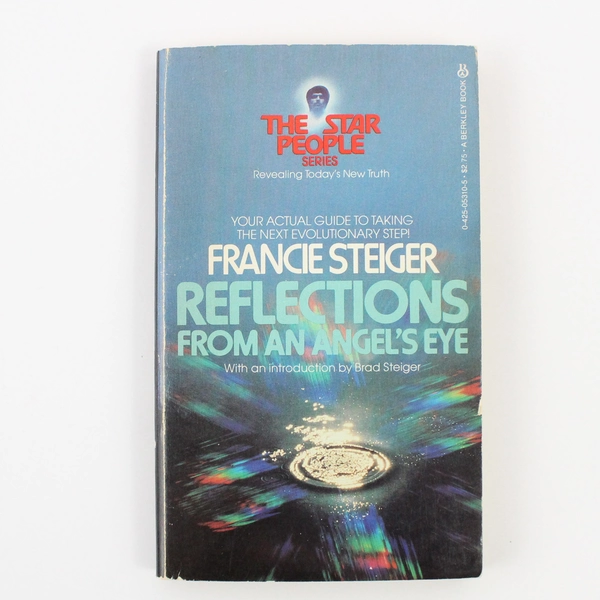 Reflections from an Angel's Eye by Francie Steiger (1982 Berkley Paperback)