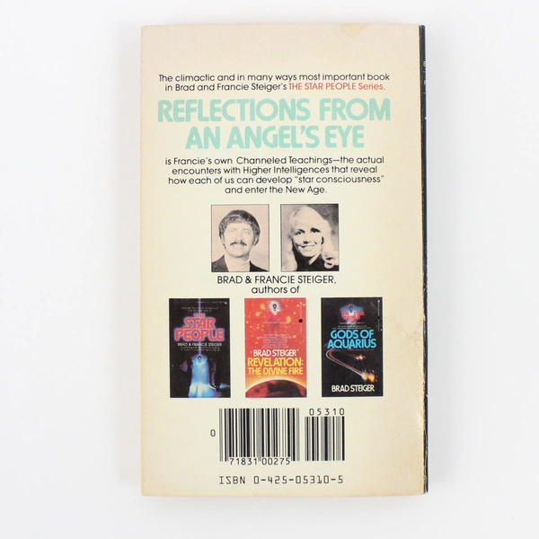 Reflections from an Angel's Eye by Francie Steiger (1982 Berkley Paperback)