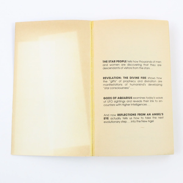 Reflections from an Angel's Eye by Francie Steiger (1982 Berkley Paperback)