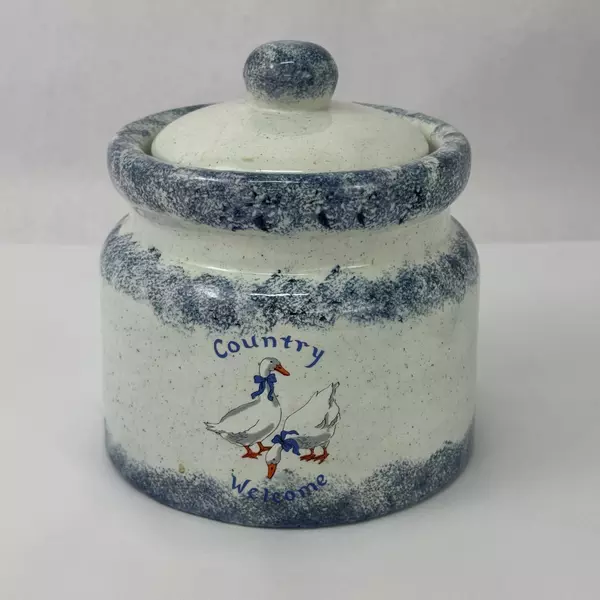 Vintage Blue And White Ceramic Duck Canisters