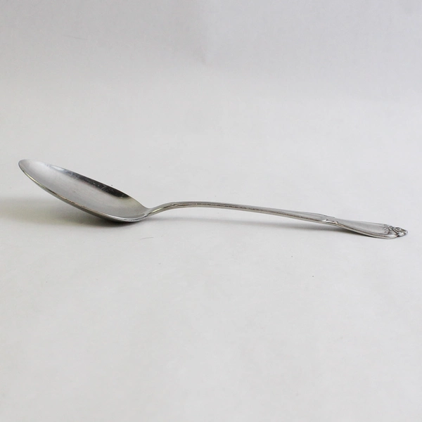 Oneida Arbor Rose-True Rose Stainless Steel Serving Spoon
