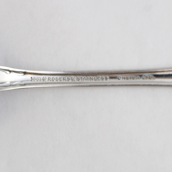 Oneida Arbor Rose-True Rose Stainless Steel Serving Spoon