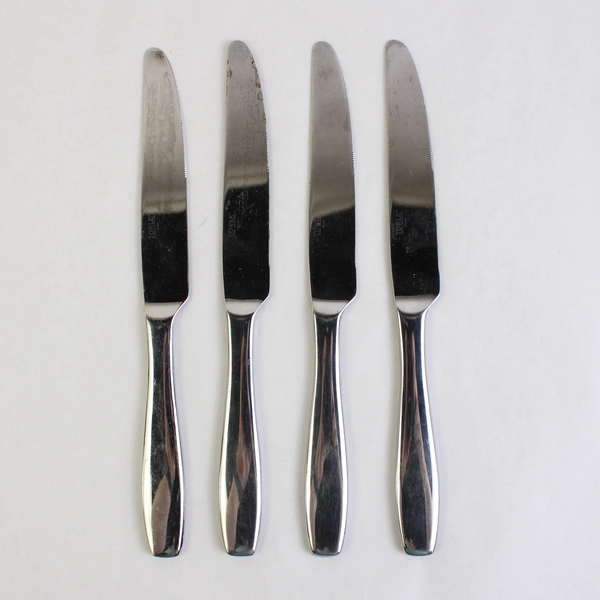 Set of 4 Towle MEMOIR Stainless Living Collection Flatware Knives Silverware 