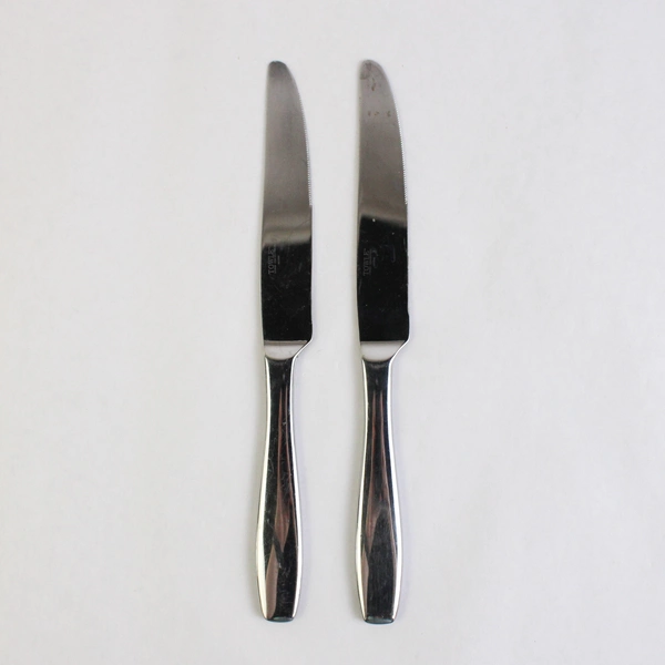 Lot of 2 Towle MEMOIR Stainless Steel Flatware Knives 9.5" Silverware