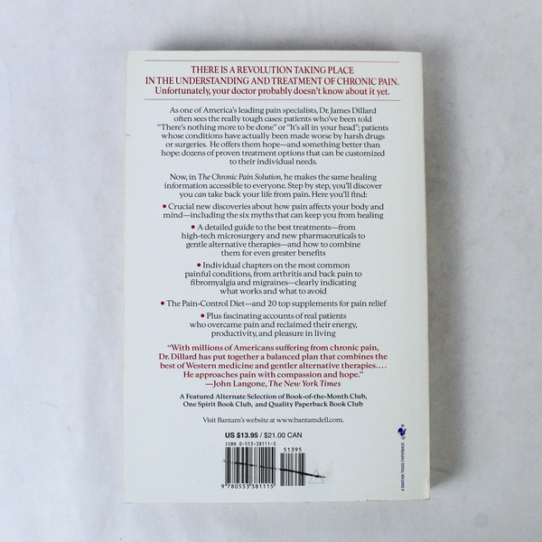 The Chronic Pain Solution by Dillard & Hirschman 2003 Paperback Good