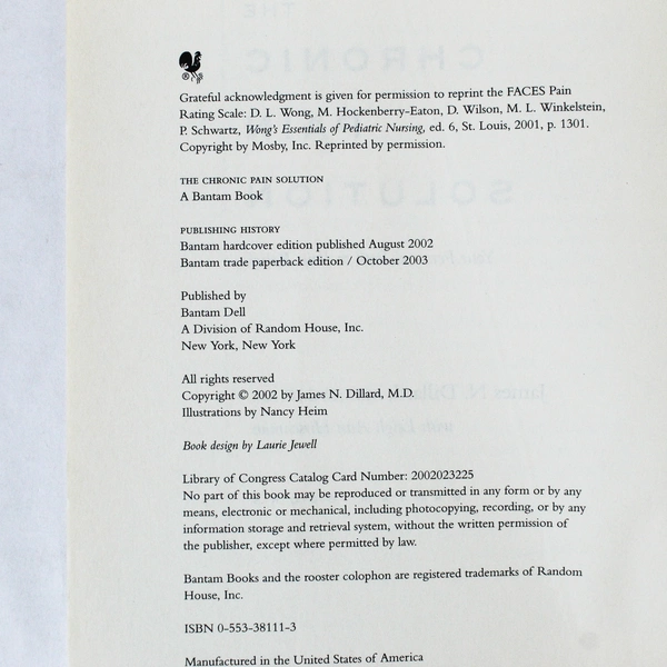 The Chronic Pain Solution by Dillard & Hirschman 2003 Paperback Good