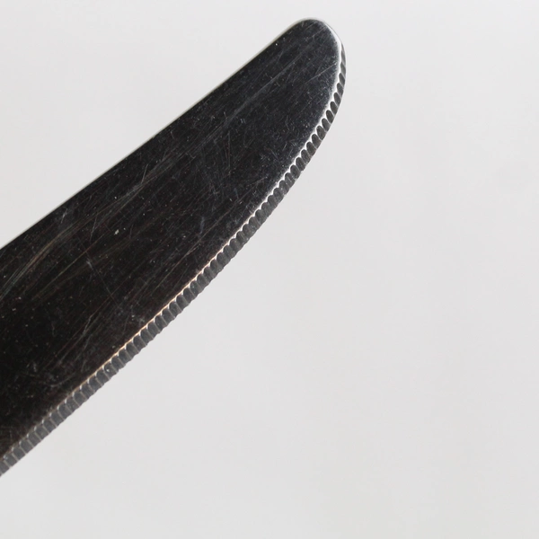 Set of 4 Oneida Gala-Impulse Stainless Steel Hollow Dinner Knives