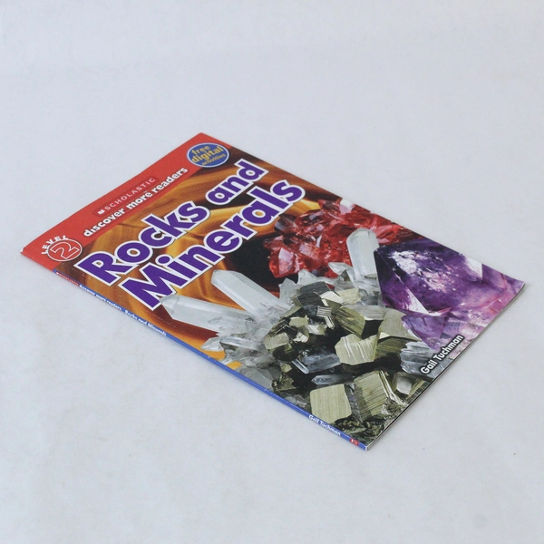 Scholastic Level 2 Rocks and Minerals by Gail Tuchman 2015 Paperback