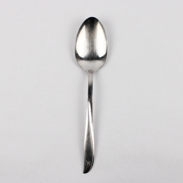 Oneida Twin Star Stainless Steel Serving Spoon Tablespoon