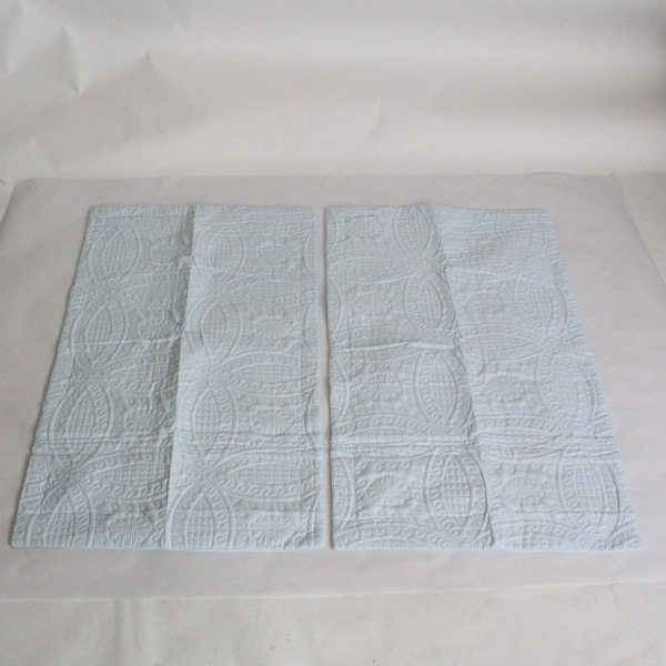Set of 2 Baby Blue Oeko Tex Standard 100 Pillow Covers 20" x 36"