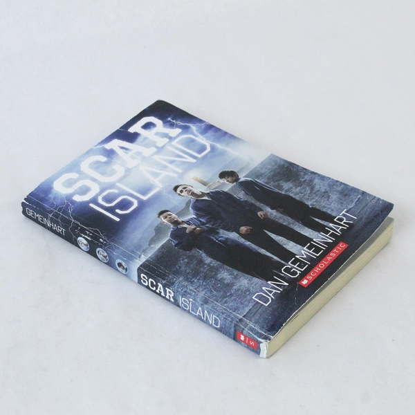 Scar Island by Dan Gemeinhart 2017 Paperback - Good Condition