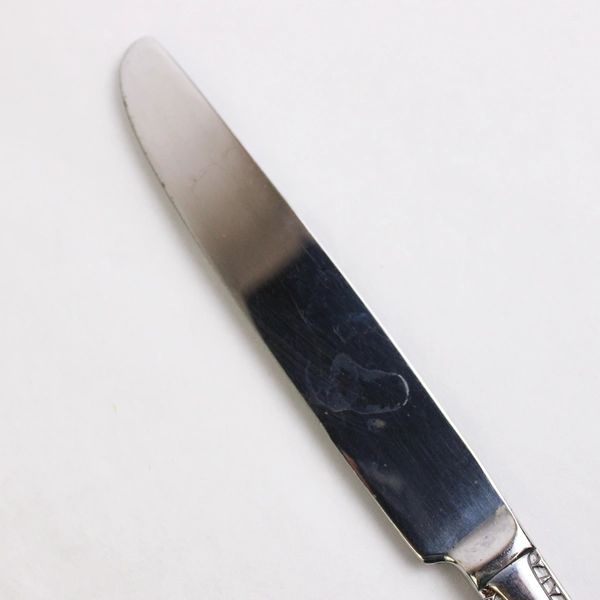 Set of 6 Cuisinart Hailey Stainless Steel Solid Dinner Knives