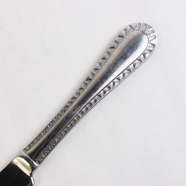 Set of 6 Cuisinart Hailey Stainless Steel Solid Dinner Knives