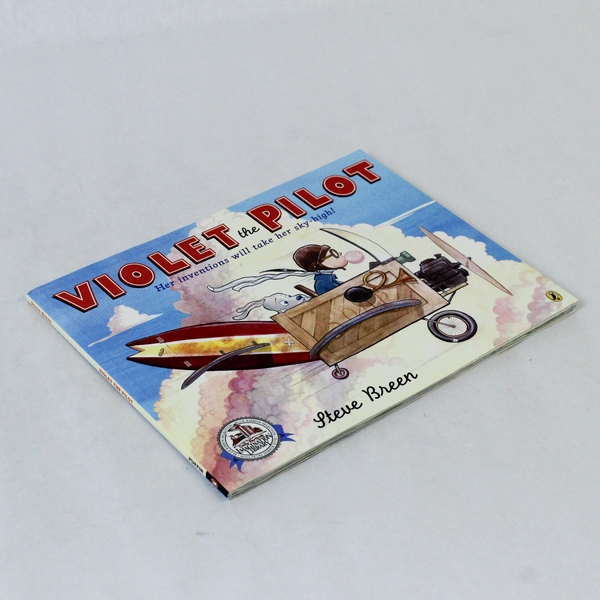 Violet the Pilot by Steve Breen 2008 PB Puffin Books - Good Condition