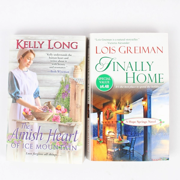 Lot of 2 Zebra Fiction Paperback Novels Finally Home 2013 The Amish Heart 2015