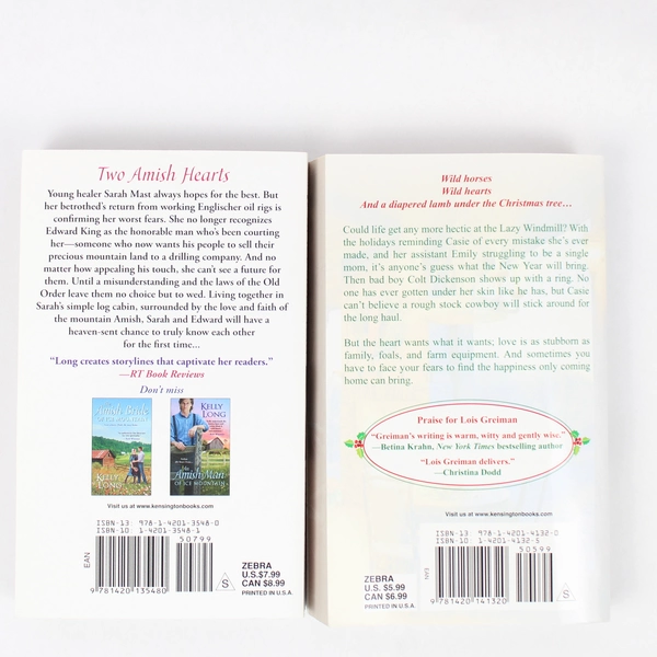 Lot of 2 Zebra Fiction Paperback Novels Finally Home 2013 The Amish Heart 2015