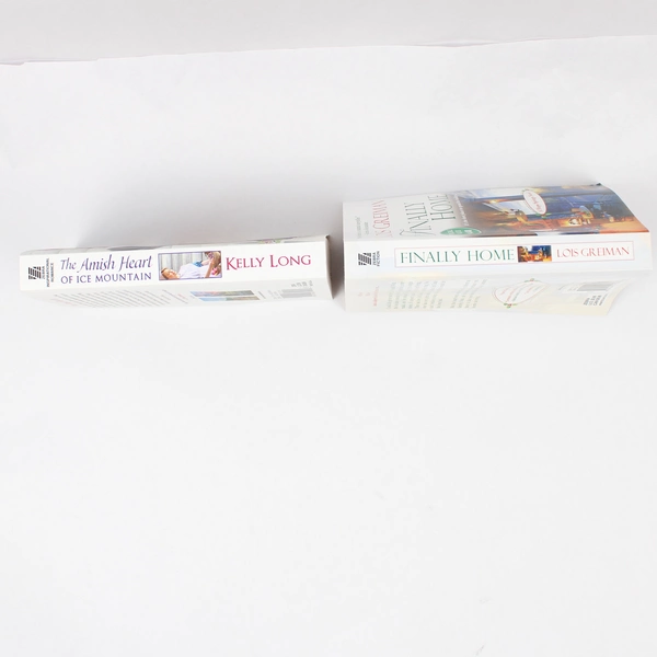 Lot of 2 Zebra Fiction Paperback Novels Finally Home 2013 The Amish Heart 2015