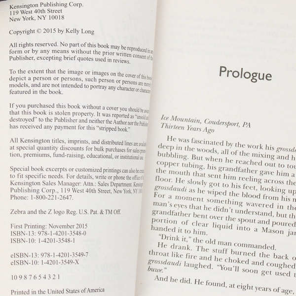 Lot of 2 Zebra Fiction Paperback Novels Finally Home 2013 The Amish Heart 2015