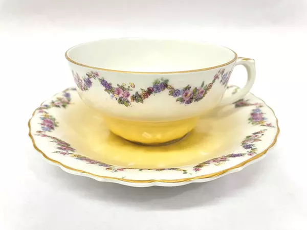 Vtg Merkelsgrun Porcelain Tea Cup And Saucer White And Yellow Floral Wreath 