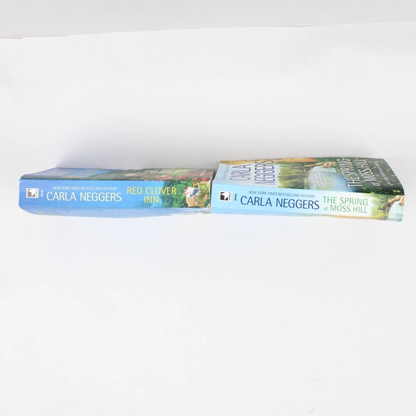 Lot Of 2 Carla Neggers Novels From the Swift River Valley Series 2016 2017 PB