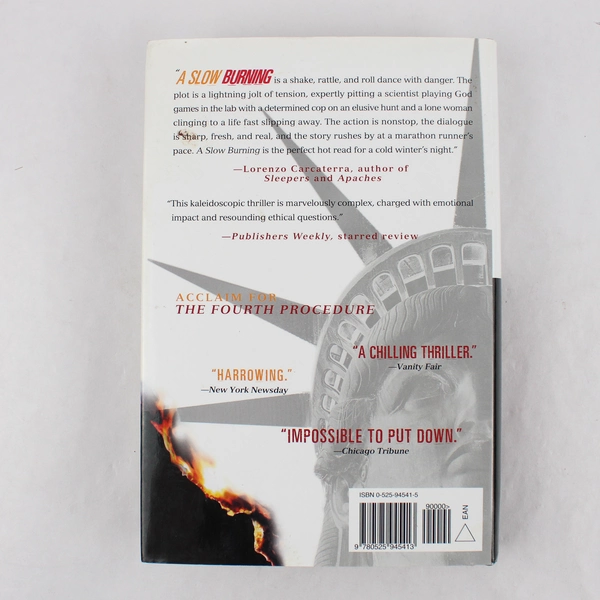 A Slow Burning Stanley Pottinger 2000 Dutton Books Hardcover DJ